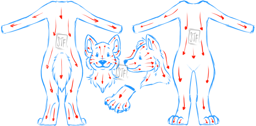 Placeholder: Fur Direction Brushing Scheme Diagram