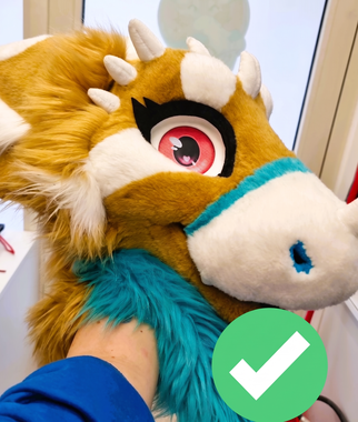Placeholder: How to Carry Your Head (Wrong: Grabbing eyes/ears vs Correct: Hand inside head)